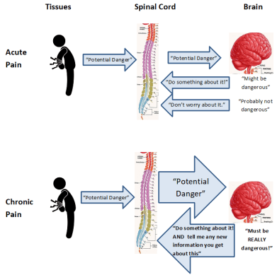 Acute-vs.-Chronic-Pain