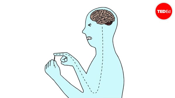 Desensitization chronic pain